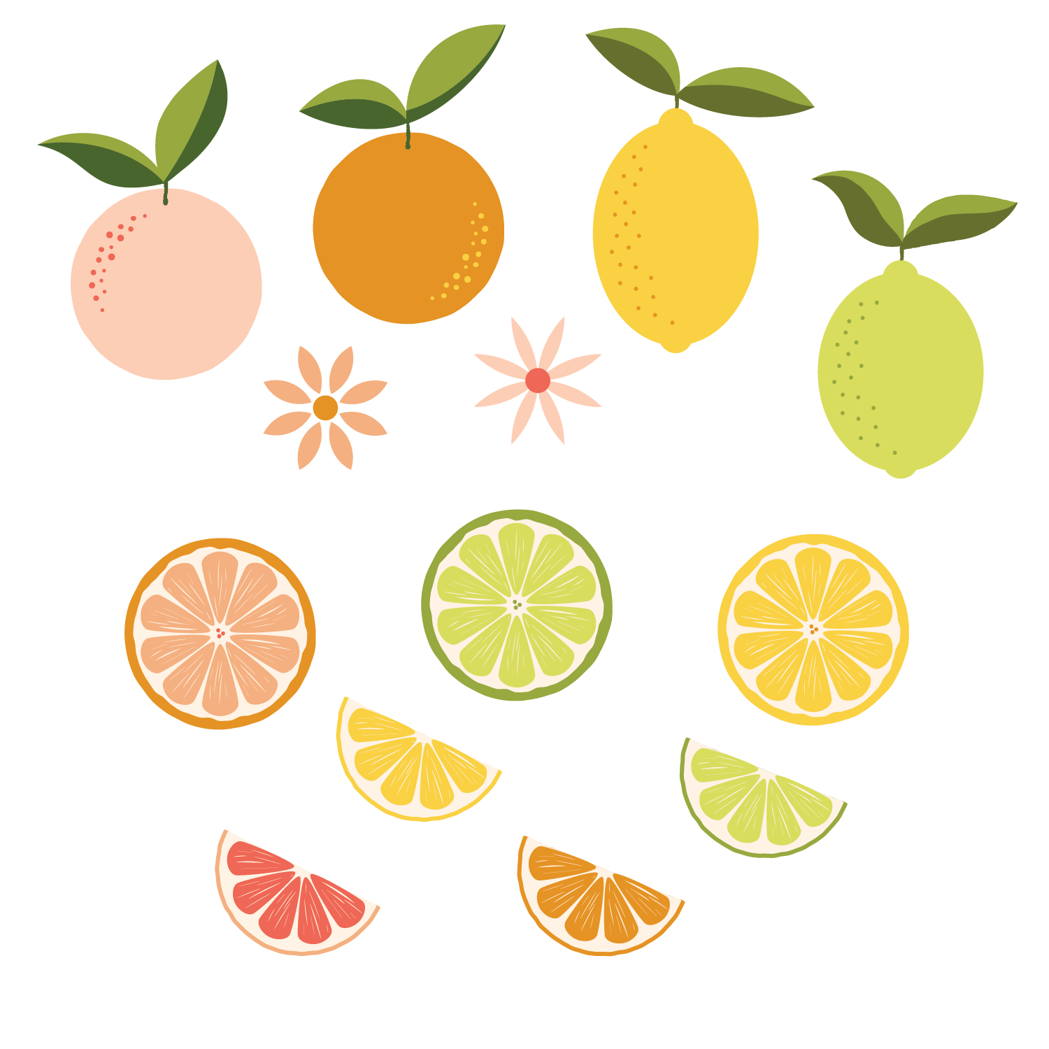 Citrus Pattern - image 2 - student project