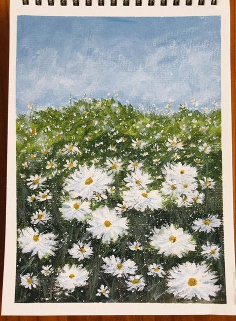 Prairie Grassland and White Daisies - image 2 - student project