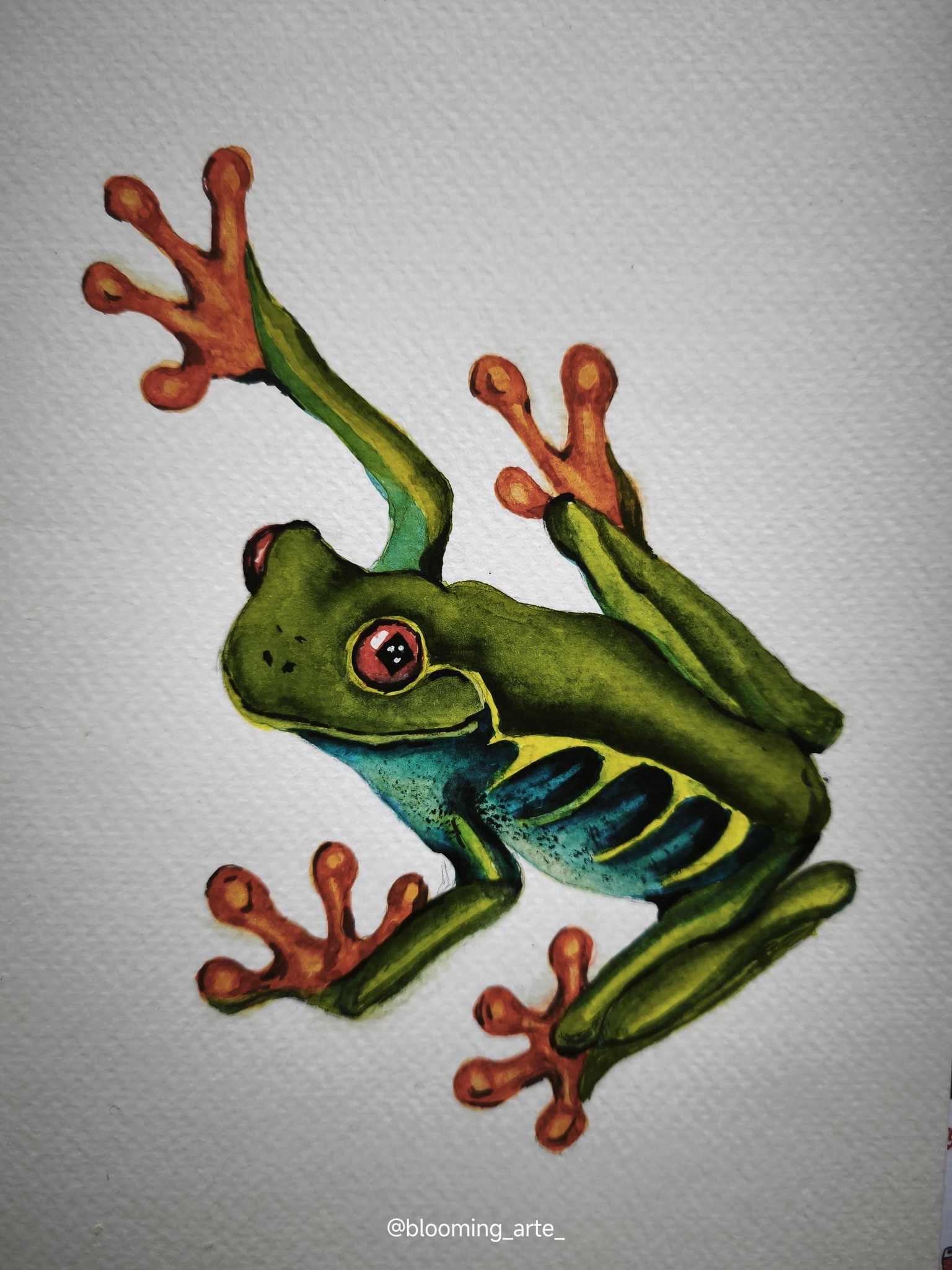 Watercolor Tree Frog - image 1 - student project