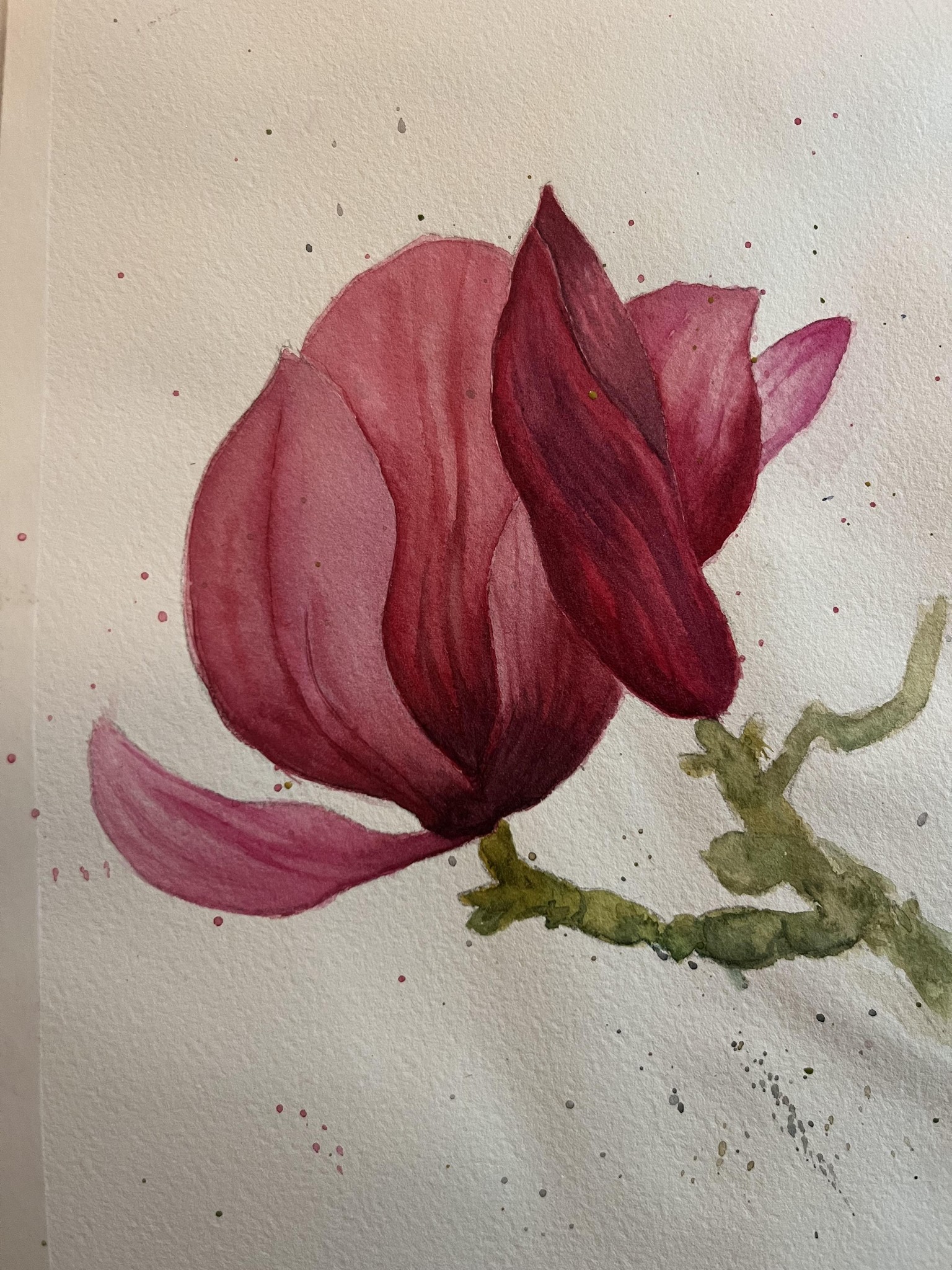 Magnolia Flowers - image 1 - student project