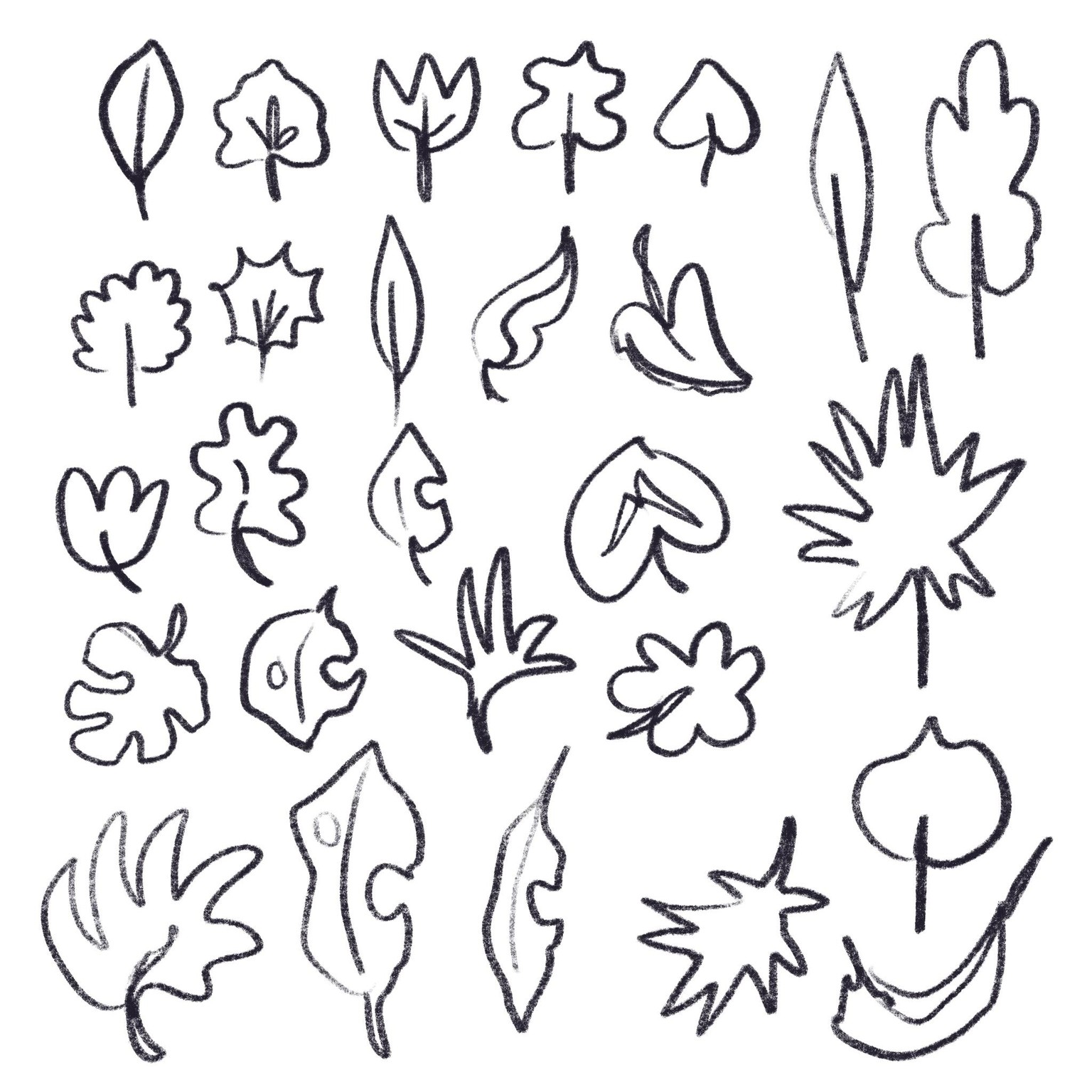 Exploring flower shapes. - image 1 - student project