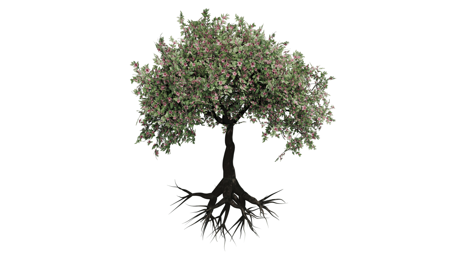 Procedural 3D Tree with Geometry Nodes - image 6 - student project