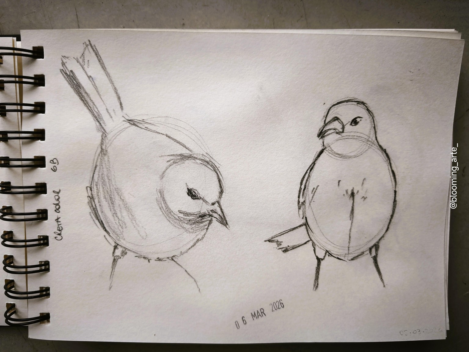 Pencil Sketching: quick and loose animals - image 1 - student project