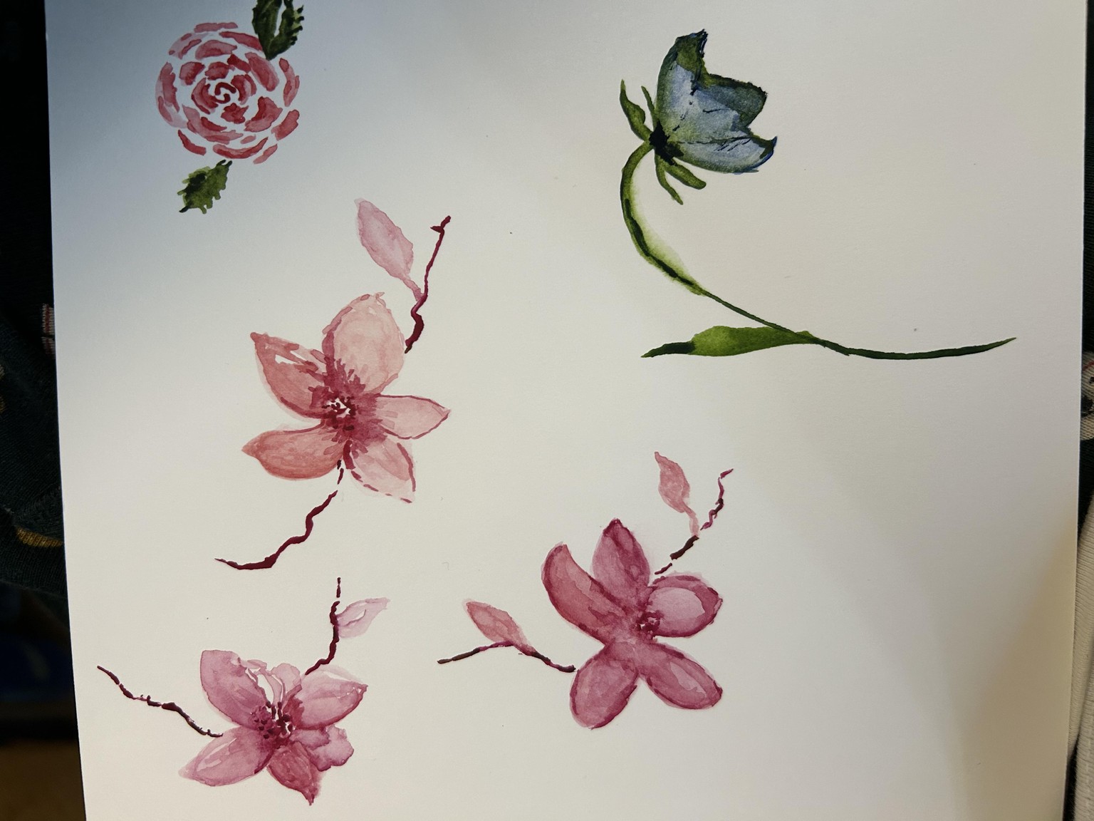 10 flowers practise with Olga - image 3 - student project