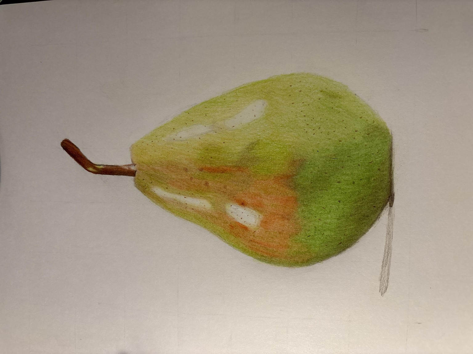 Pear in coloured pencils - image 1 - student project