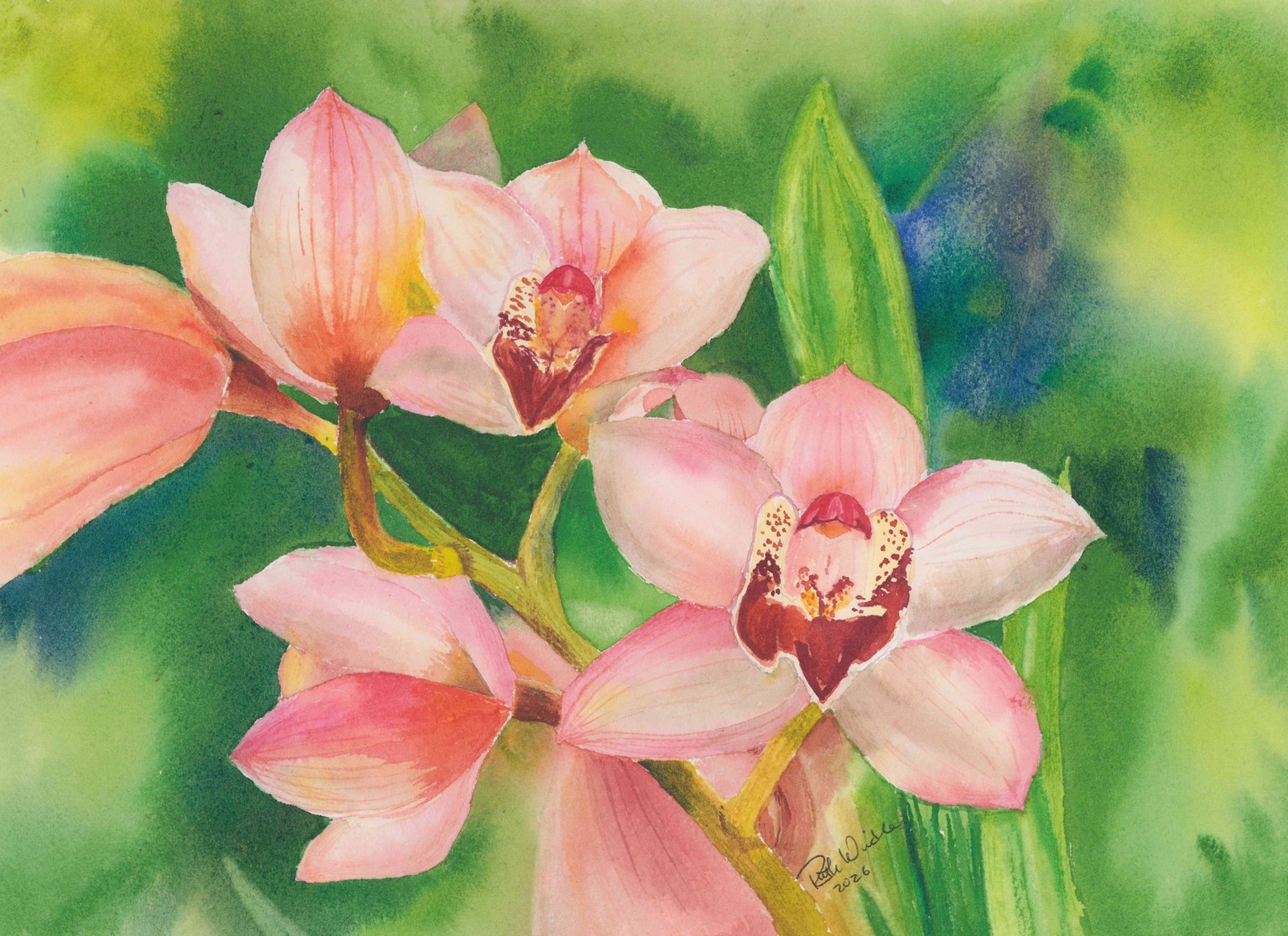 Pink orchids - image 1 - student project