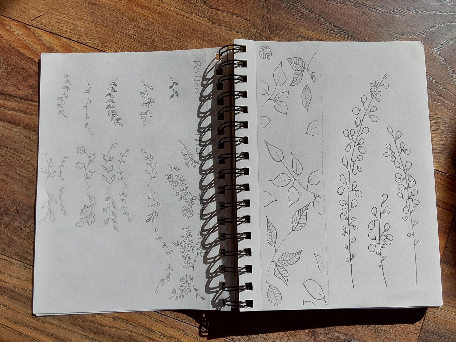 Lots of leaves - image 5 - student project
