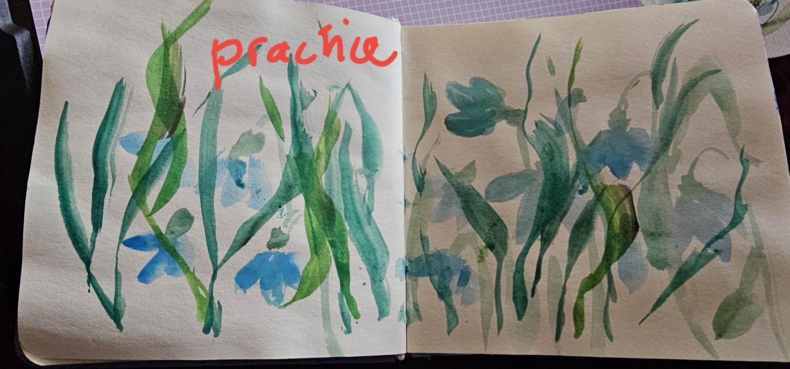 Practice - image 1 - student project