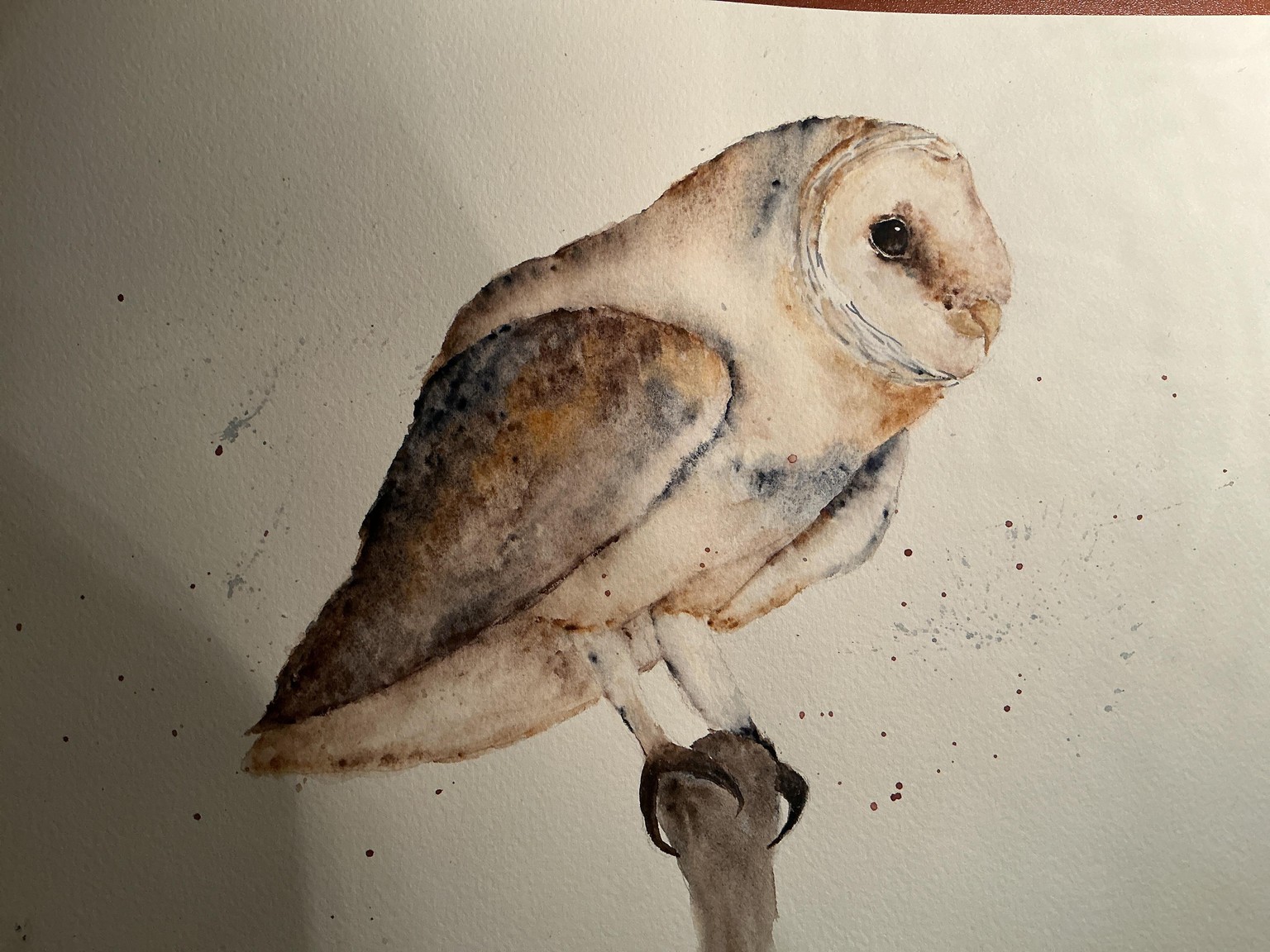 Perching Barn Owl - image 1 - student project