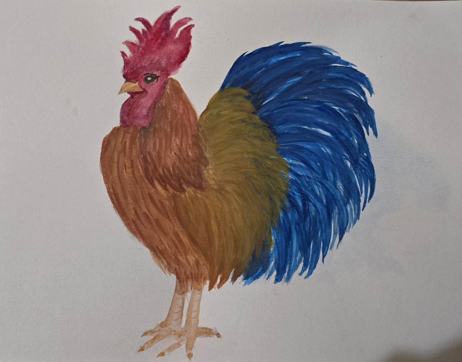 Bob the Rooster - image 1 - student project