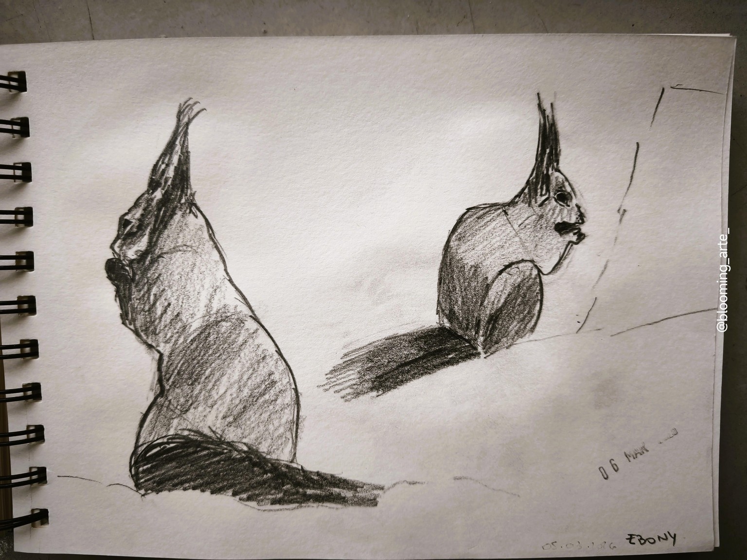 Pencil Sketching: quick and loose animals - image 10 - student project