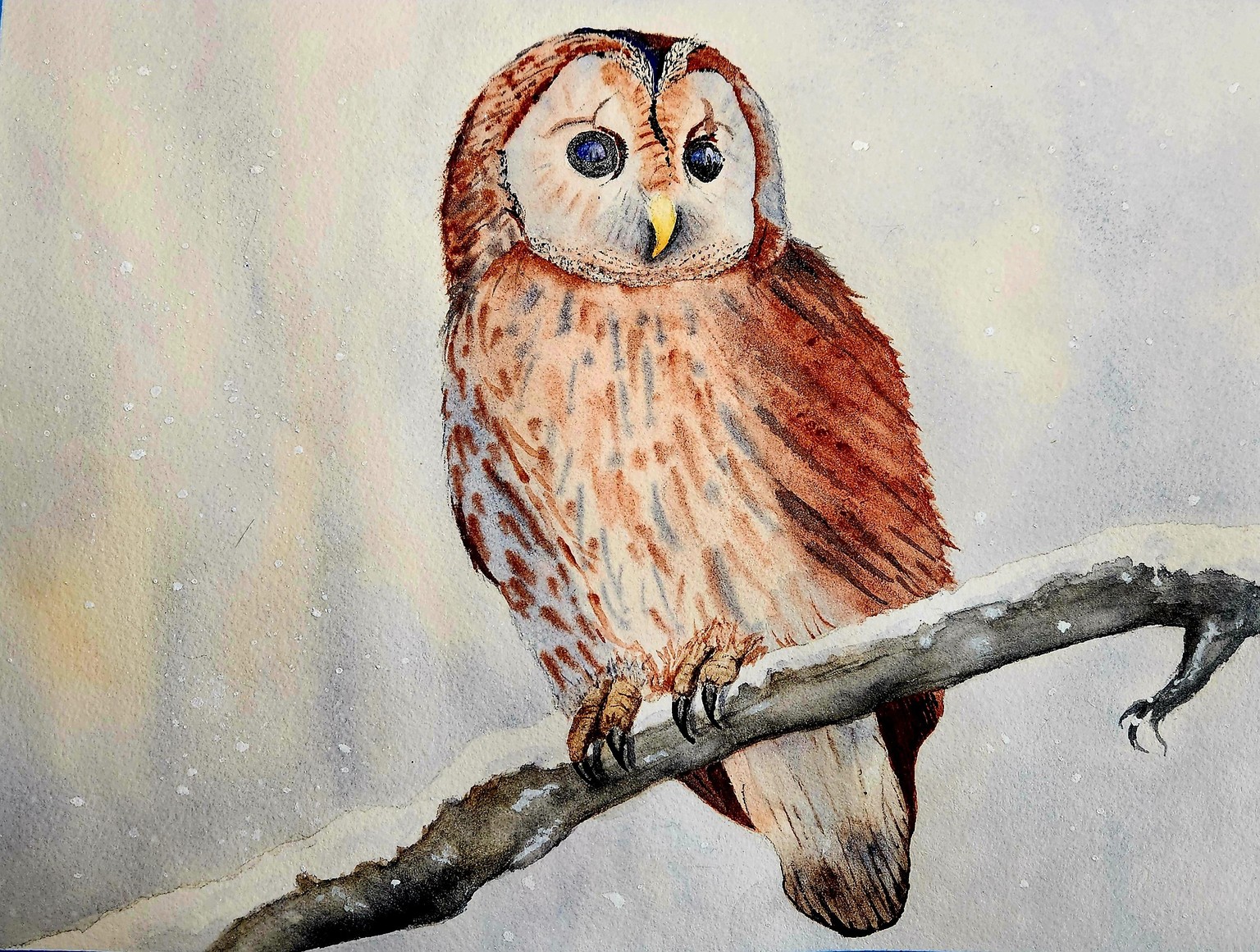 Winston the Owl - image 3 - student project