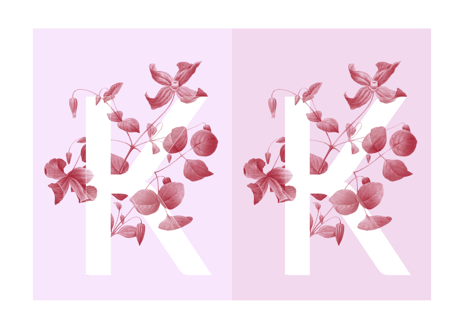 Botanical Design Exploration - image 7 - student project
