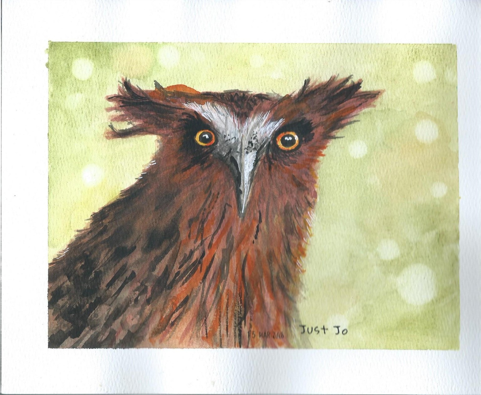 Oswald the (slightly orange) Owl! - image 1 - student project