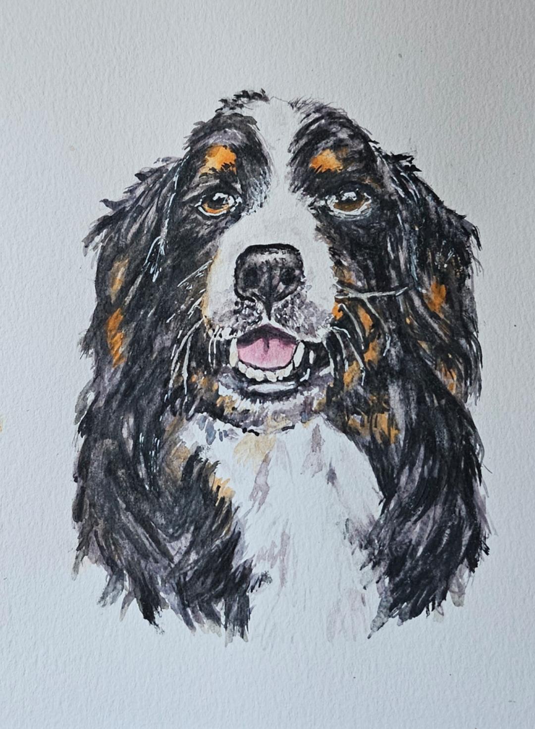 Shadow, My Scruffy Little Pup - image 1 - student project