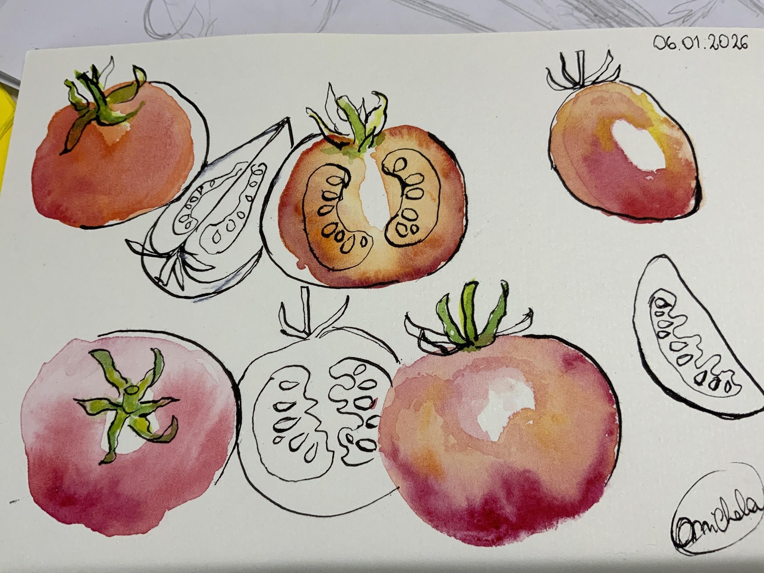 Sketchbook Practice: Create freely with Ink and Watercolor - image 3 - student project