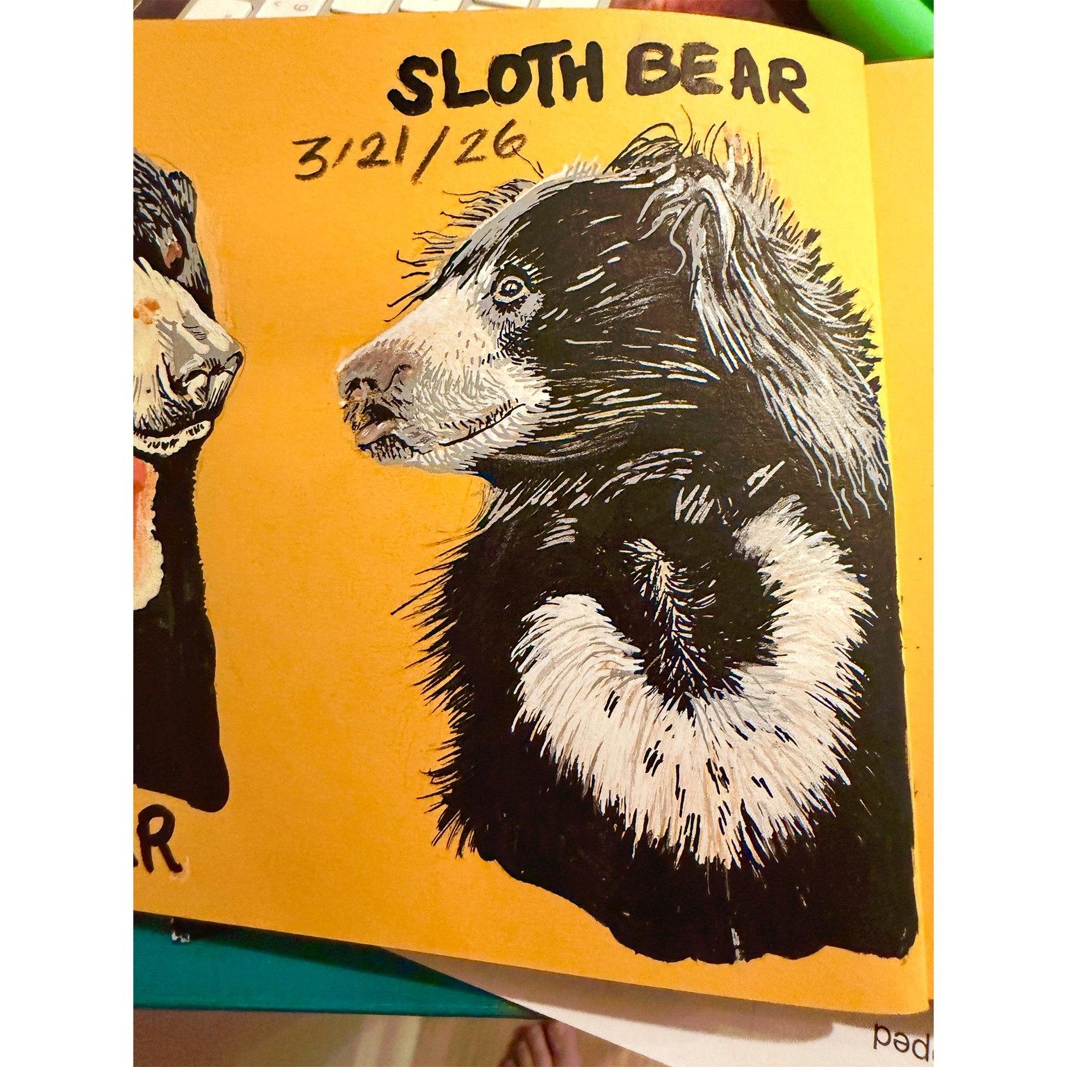 30 Days of Bears - image 6 - student project