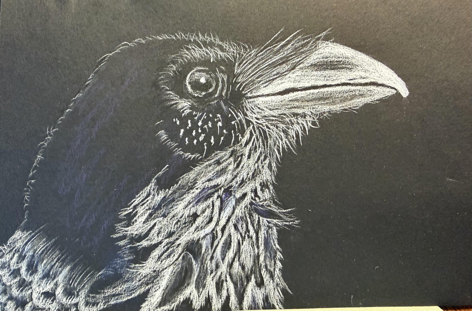 Raven on Black Paper - image 1 - student project