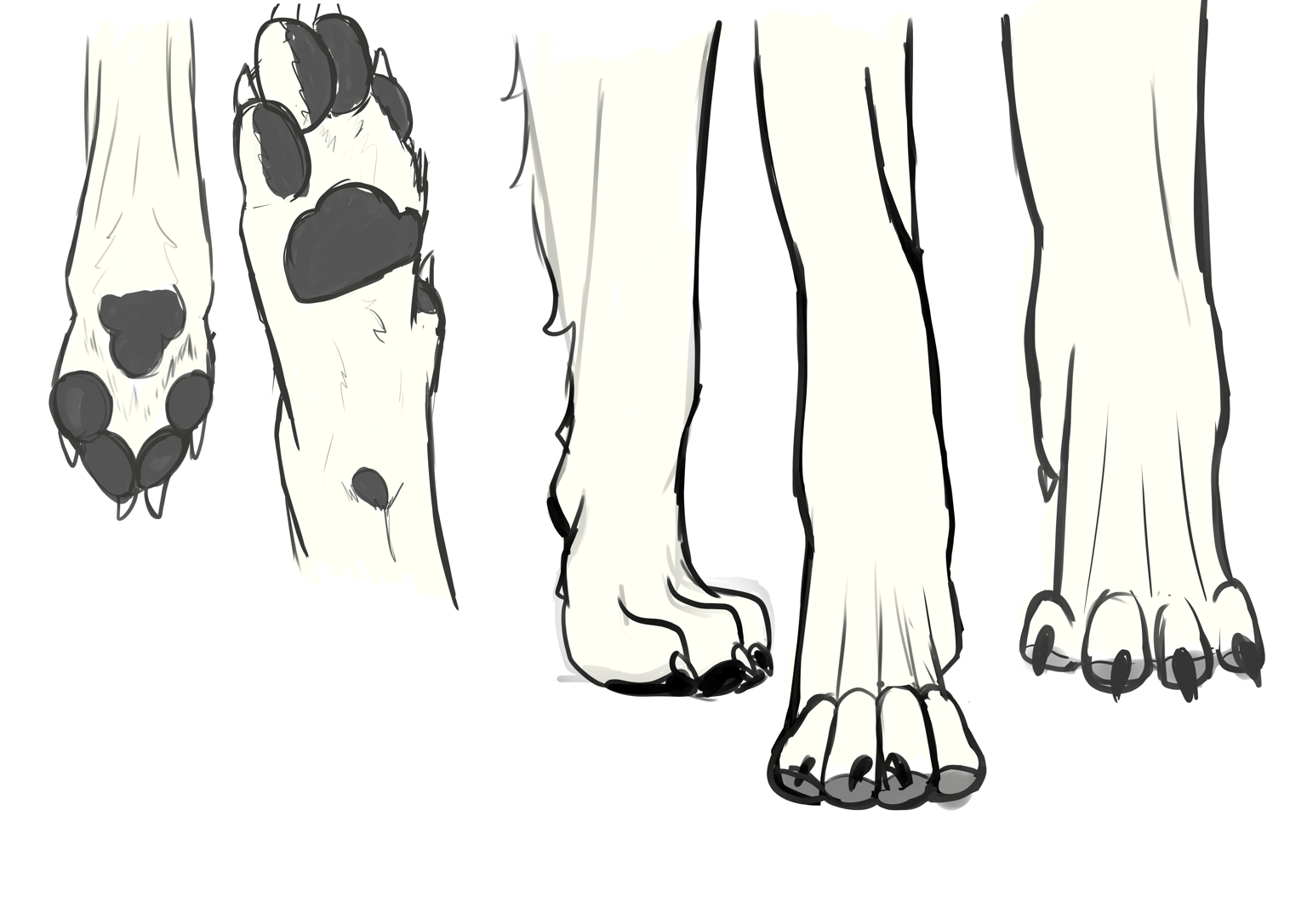 Wolf practice - image 5 - student project