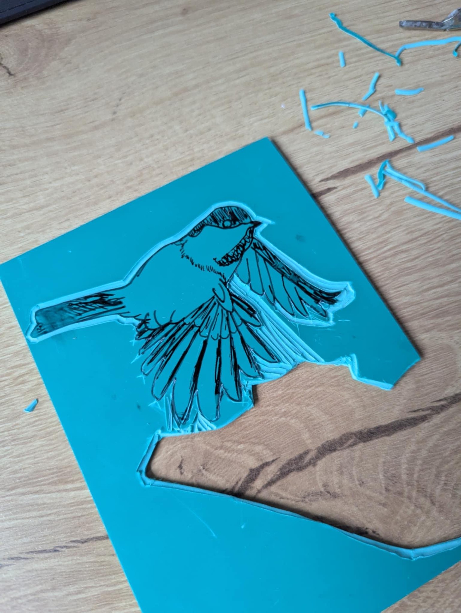 Hello, chickadees! - image 1 - student project