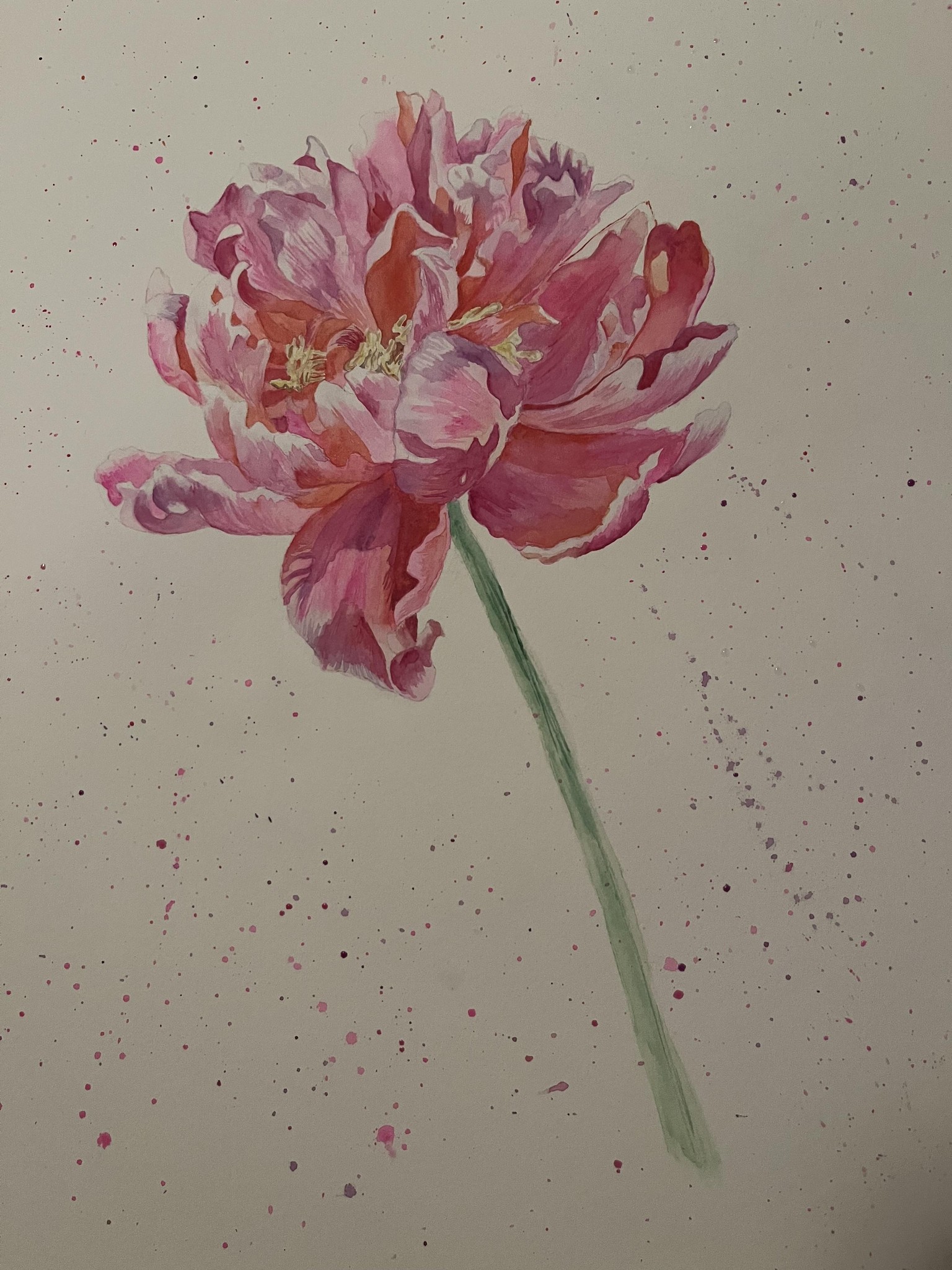Watercolor peony - image 1 - student project