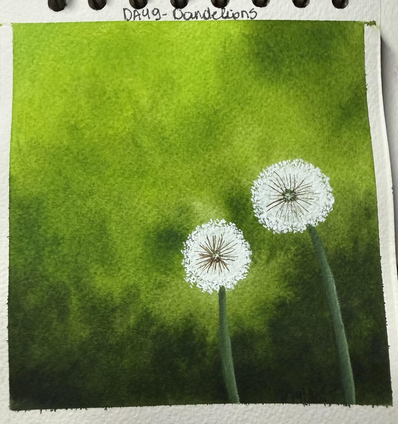 15 days of 15 minute watercolor - image 9 - student project