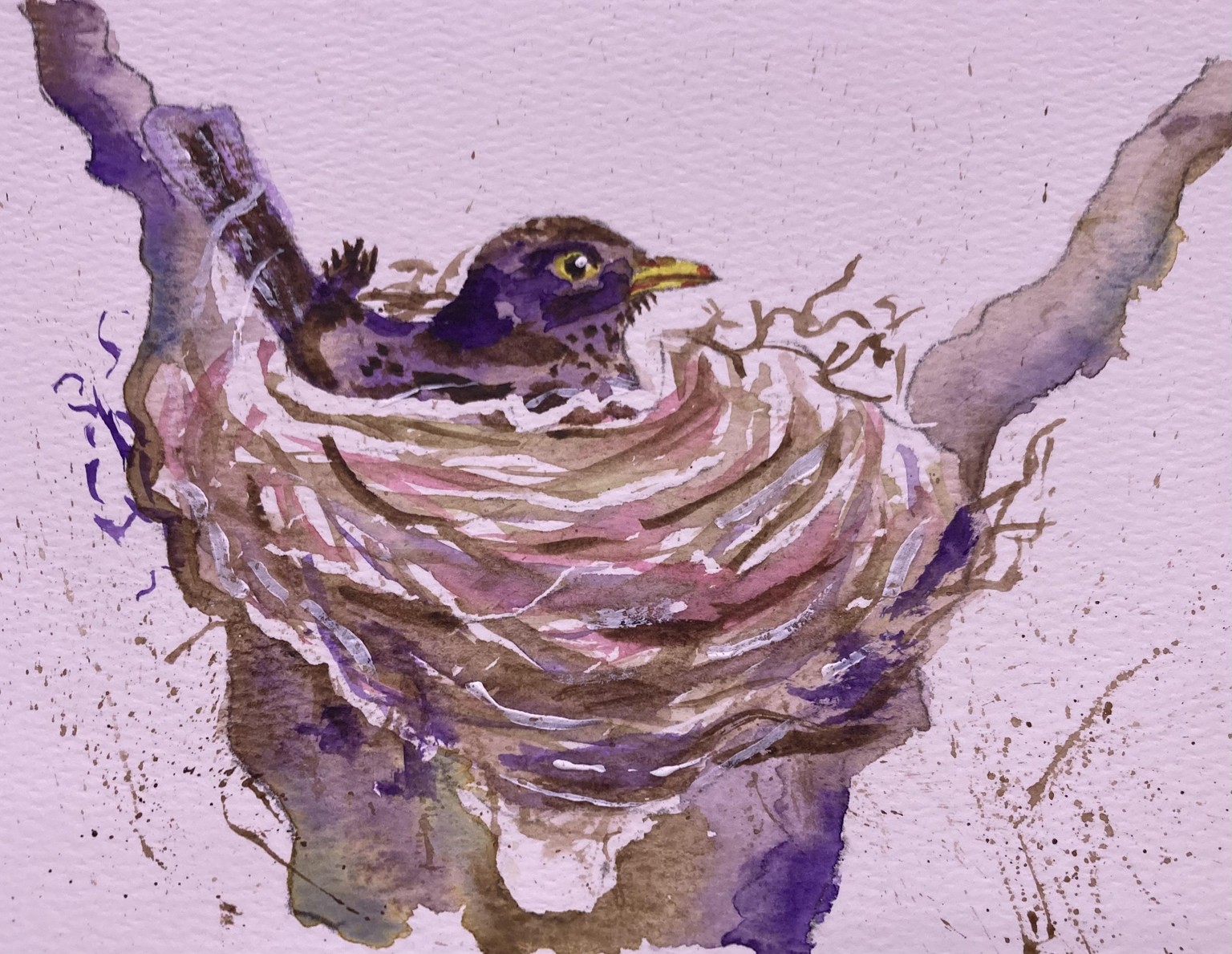 Blackbird on her Nest - image 1 - student project