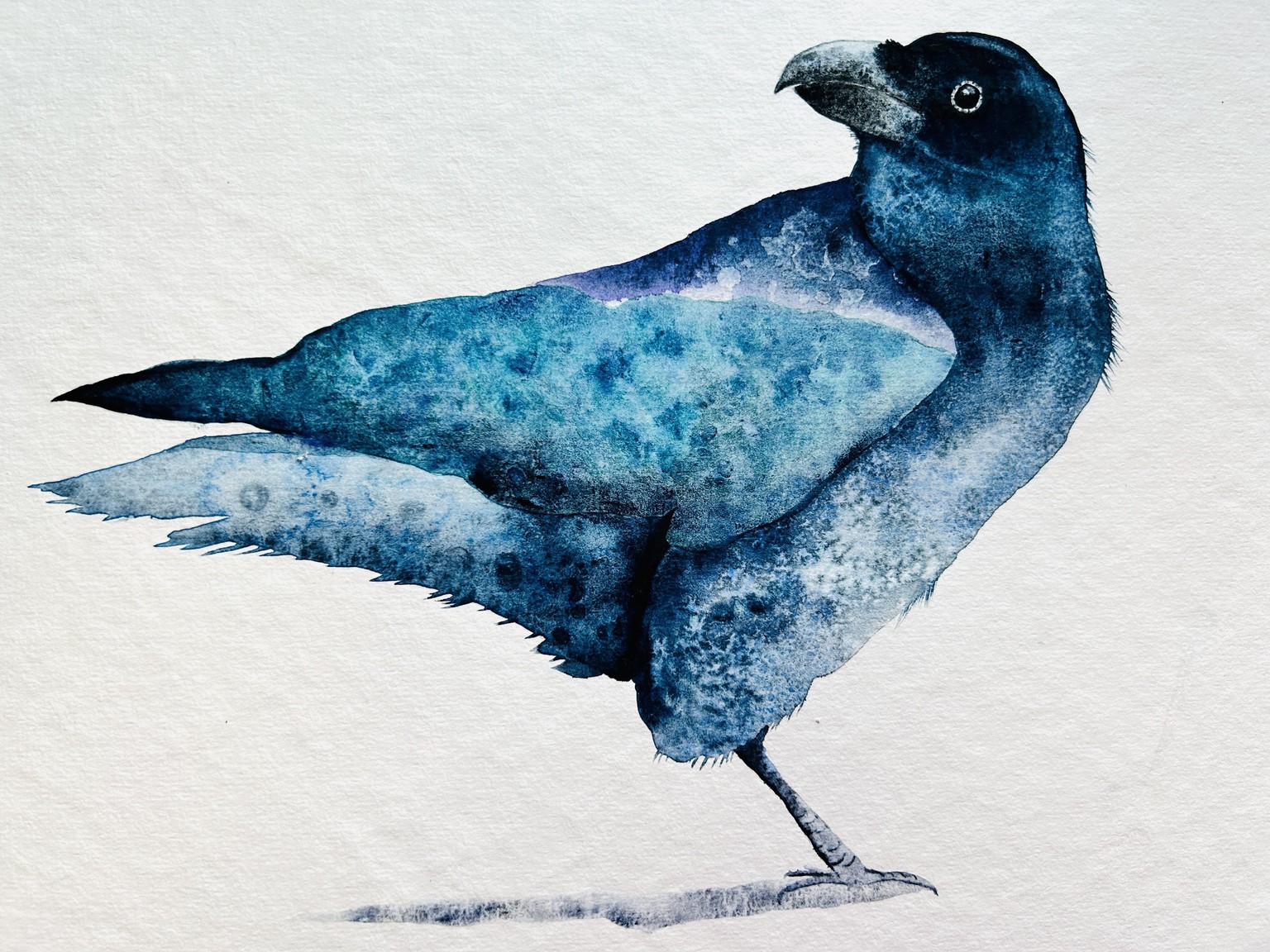 Raven - image 1 - student project