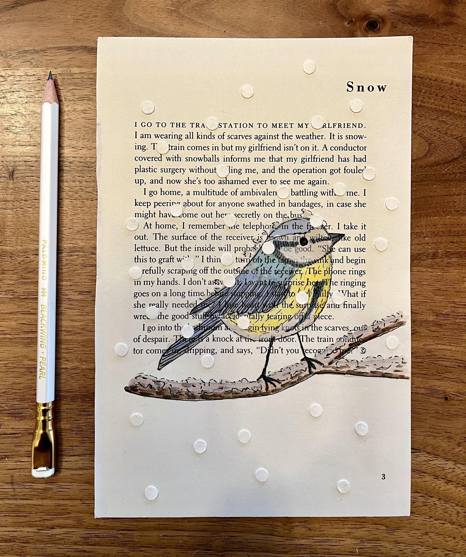 Blue tit in the snow - image 1 - student project