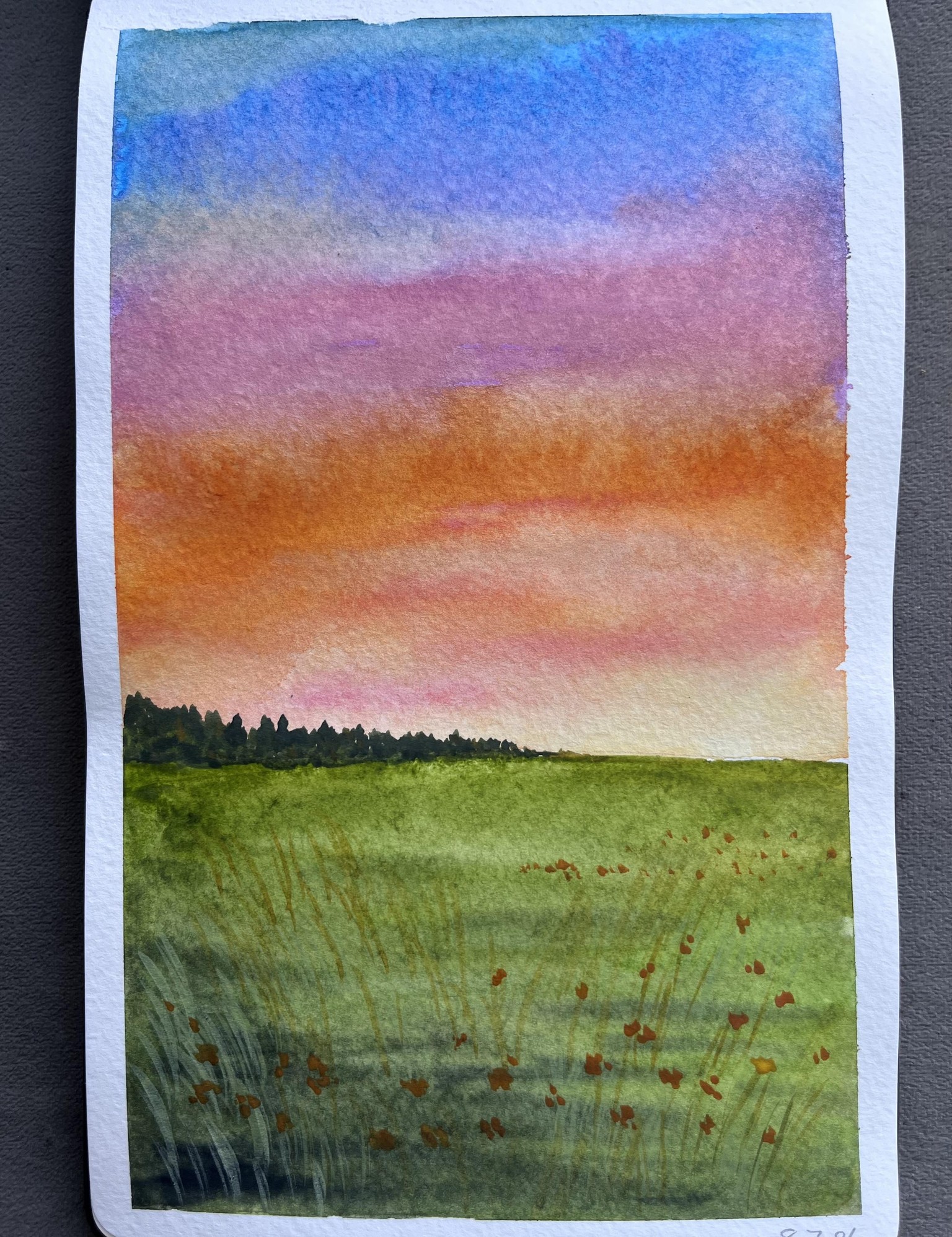 Colourful Spring sunsets - image 2 - student project