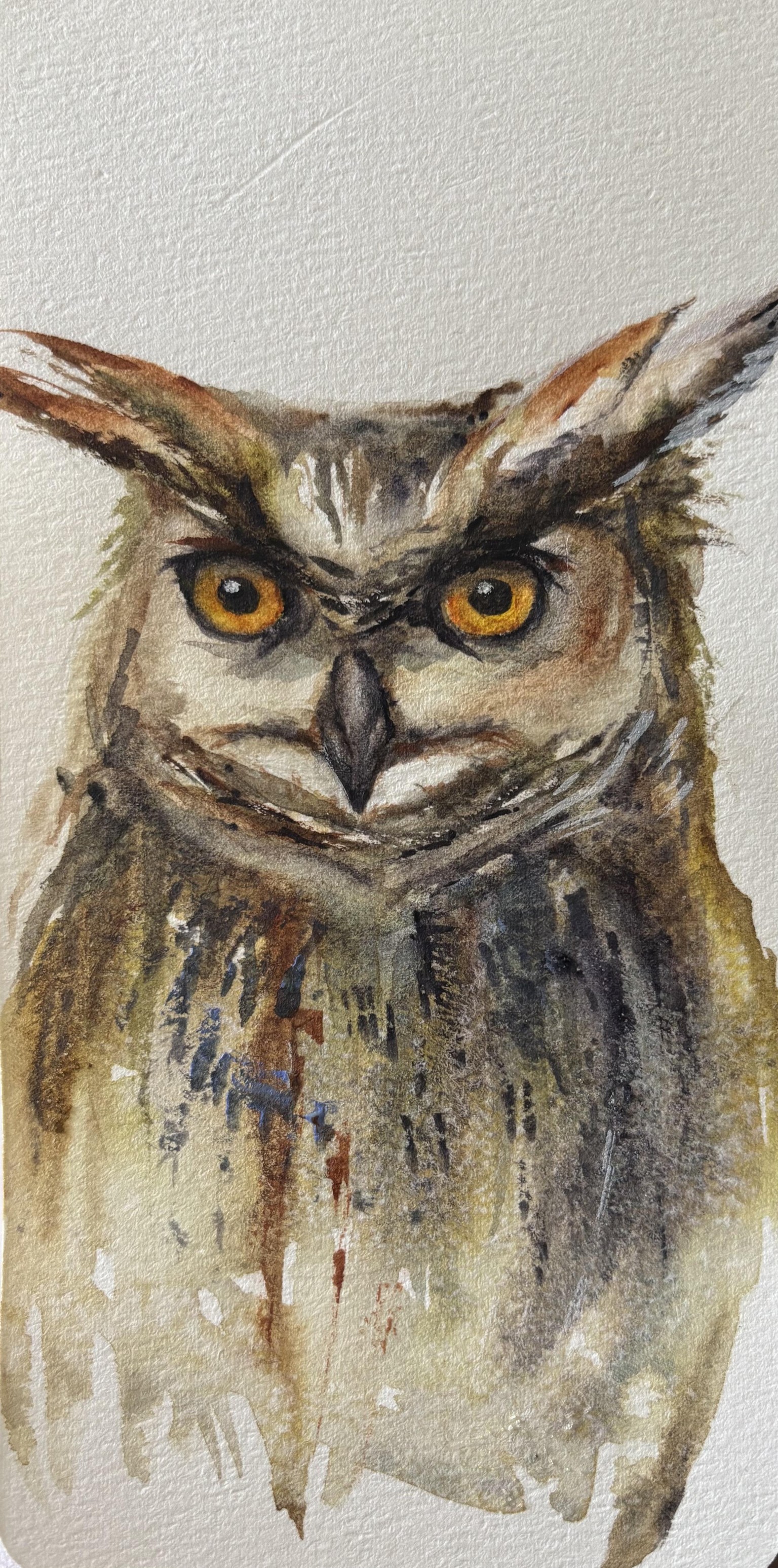Eagle Owl-Jane Davies Class - image 1 - student project