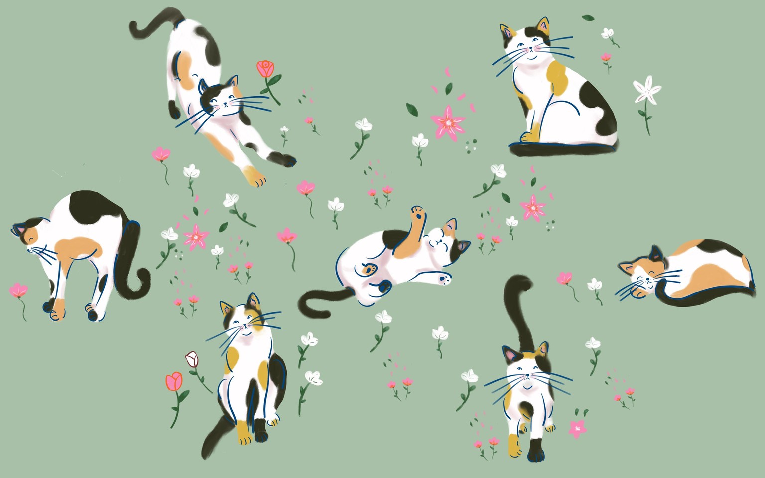 Drawing Cats From References Project - image 1 - student project