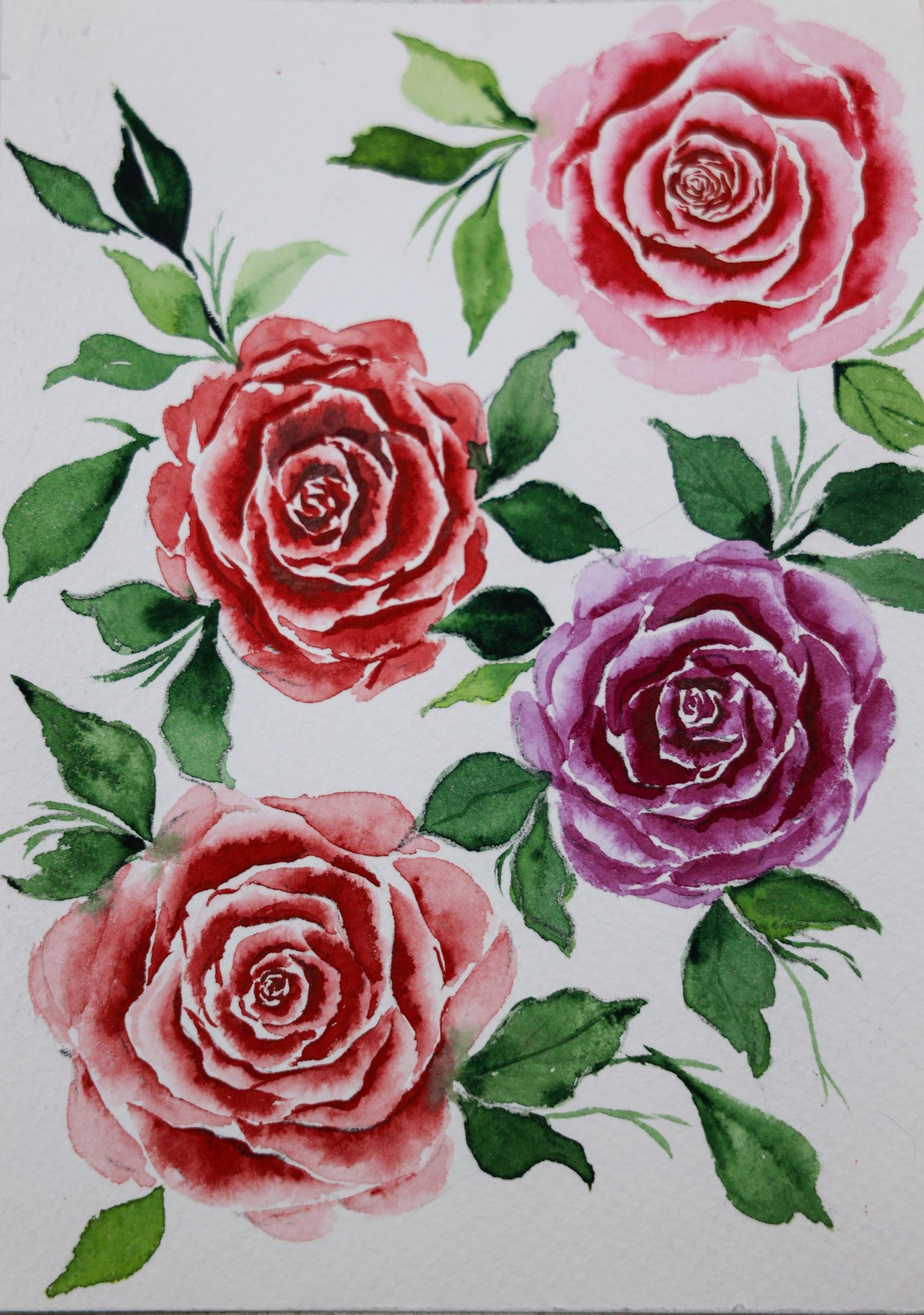 Watercolor loose roses - image 4 - student project