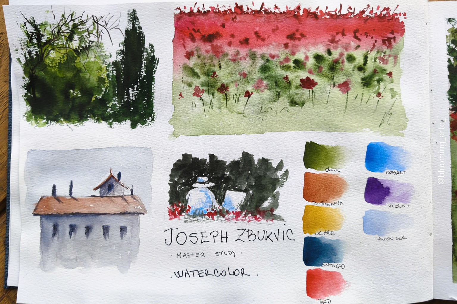 Watercolor Master Study: Learn Atmosphere and Techniques from Joseph Zbukvic - image 2 - student project