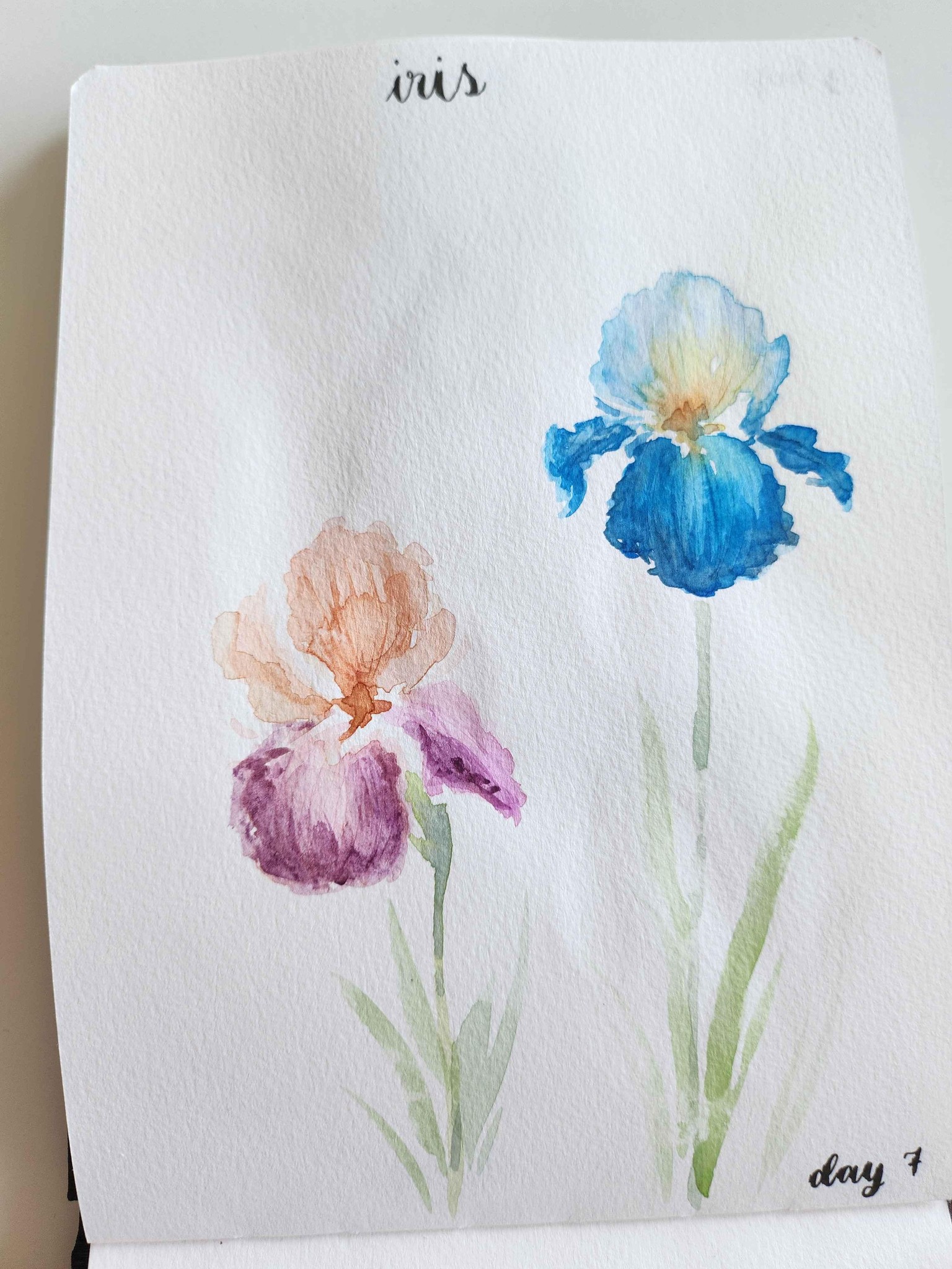 Spring florals - image 7 - student project