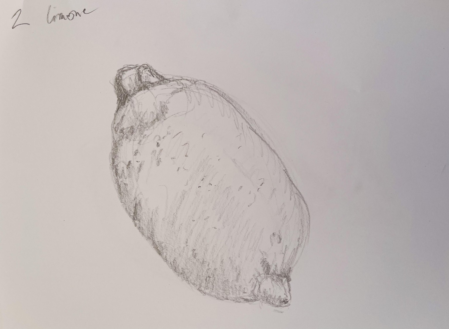 Lasciamo il segno - image 2 - student project