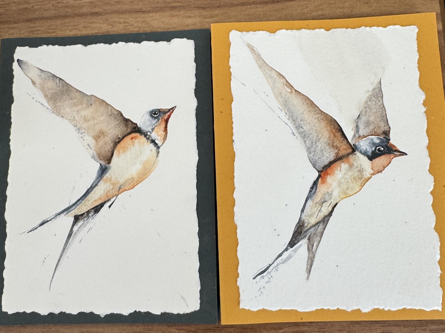 Spring Swallows - image 2 - student project