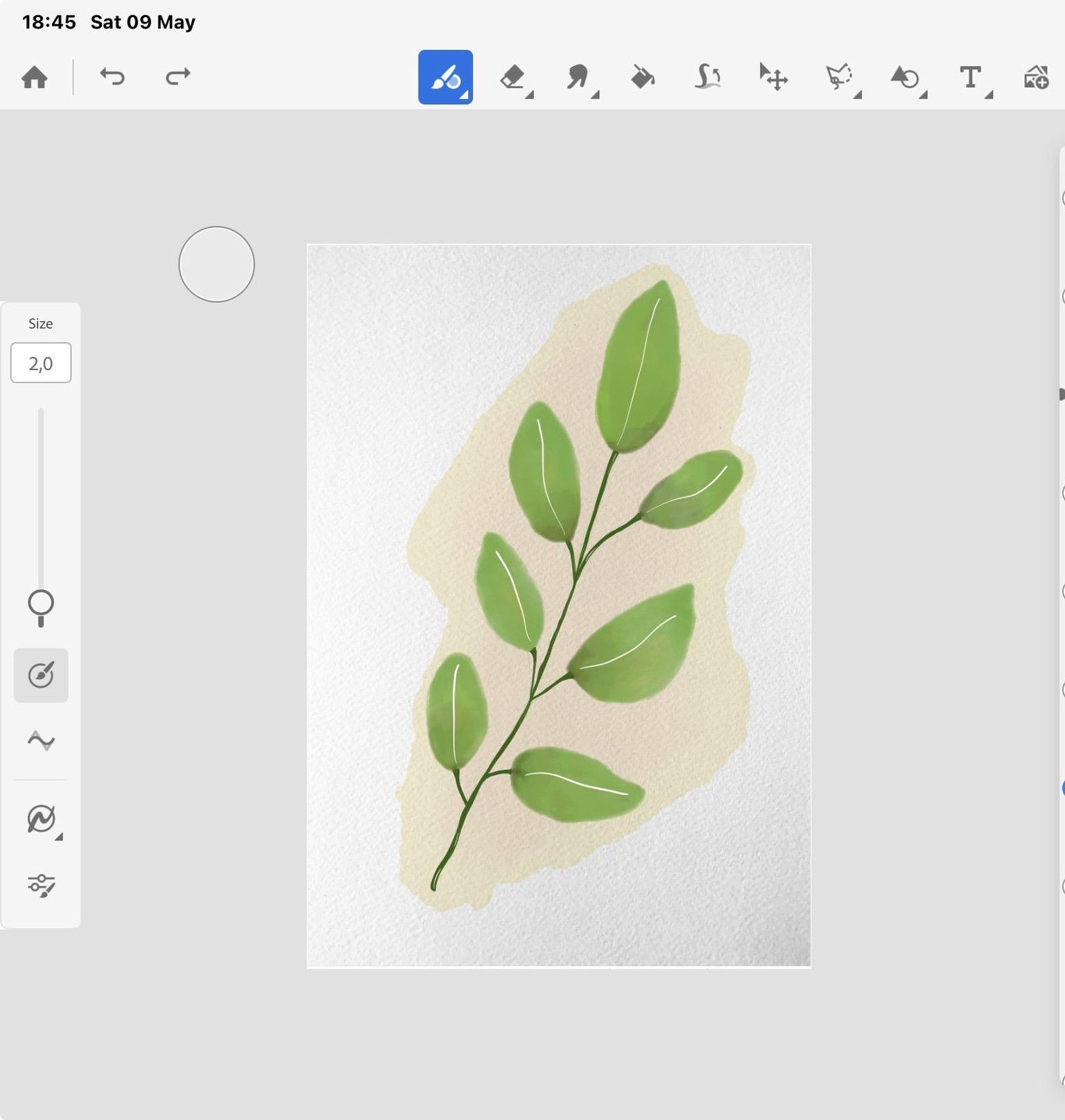 Watercolour project - image 1 - student project