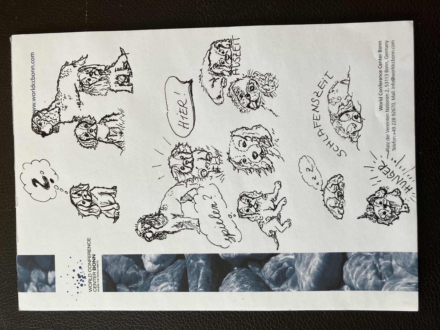 First Bonnie doodles - image 1 - student project