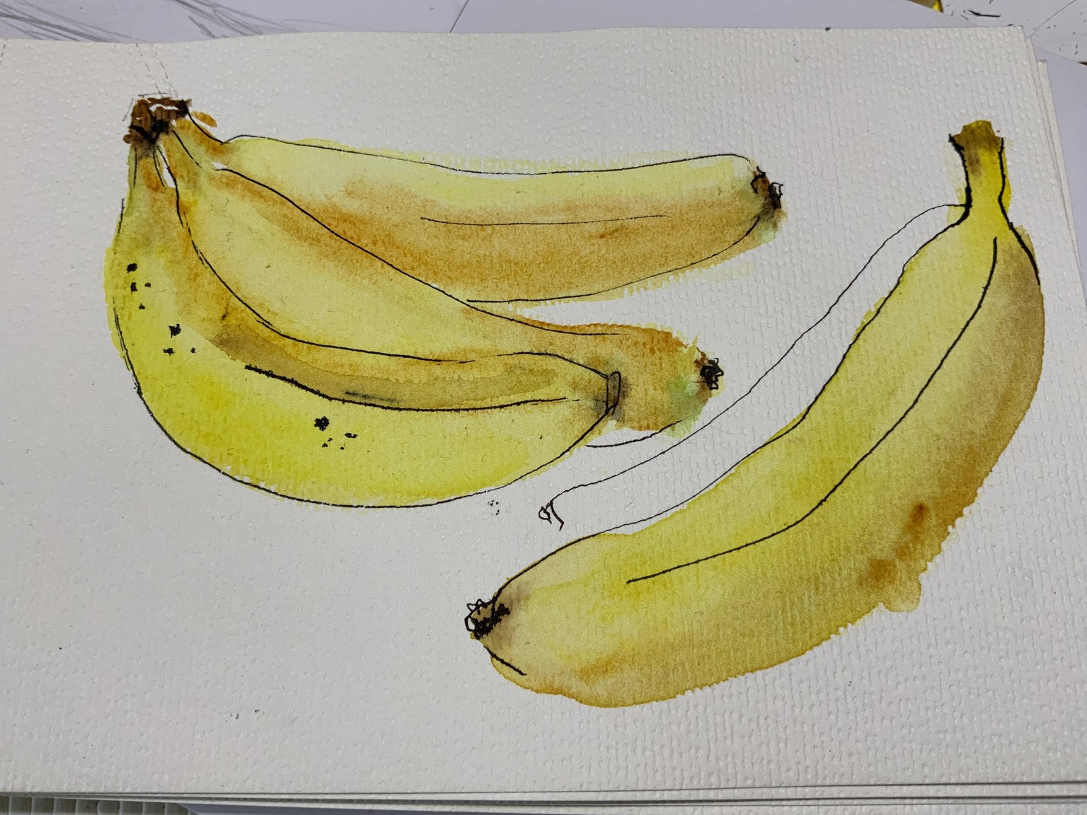 Sketchbook Practice: Create freely with Ink and Watercolor - image 5 - student project
