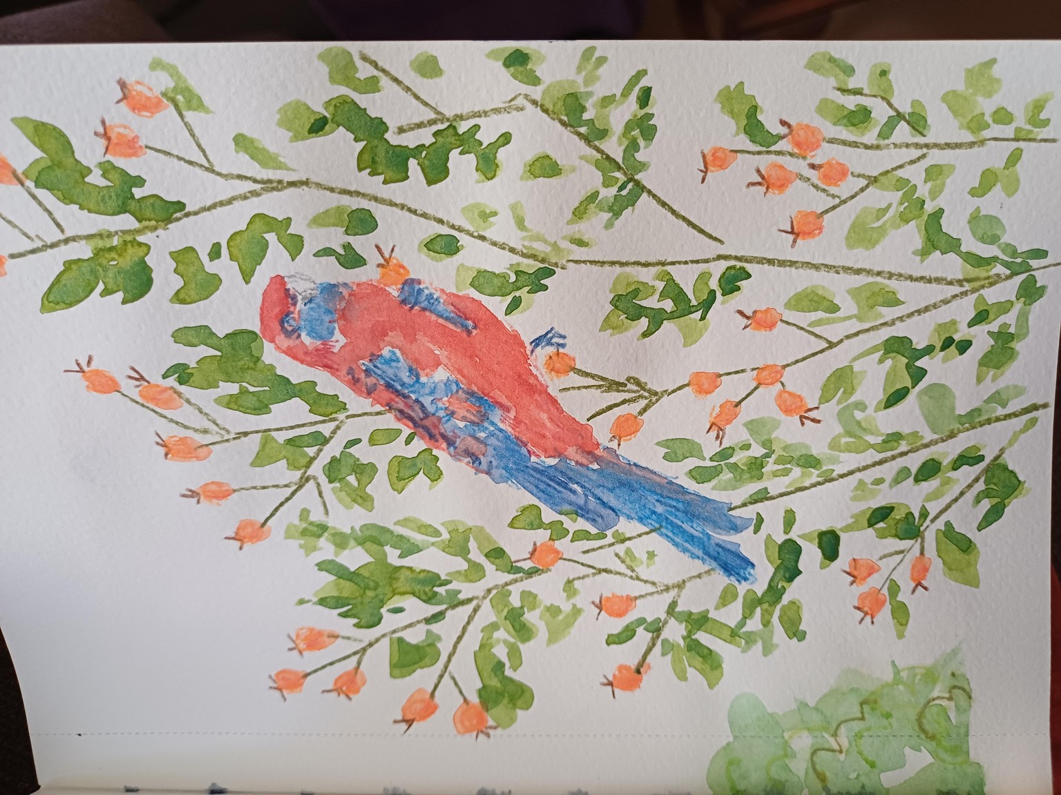Not daily, but often! - image 4 - student project