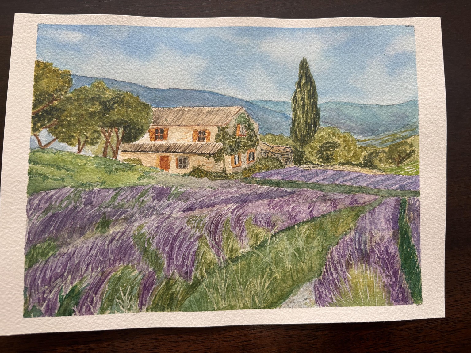 Lavender Fields 9 x 6.5 - image 1 - student project