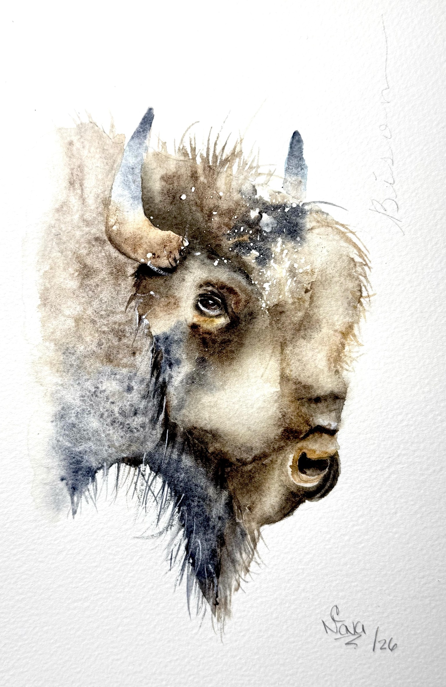 Bison - image 1 - student project