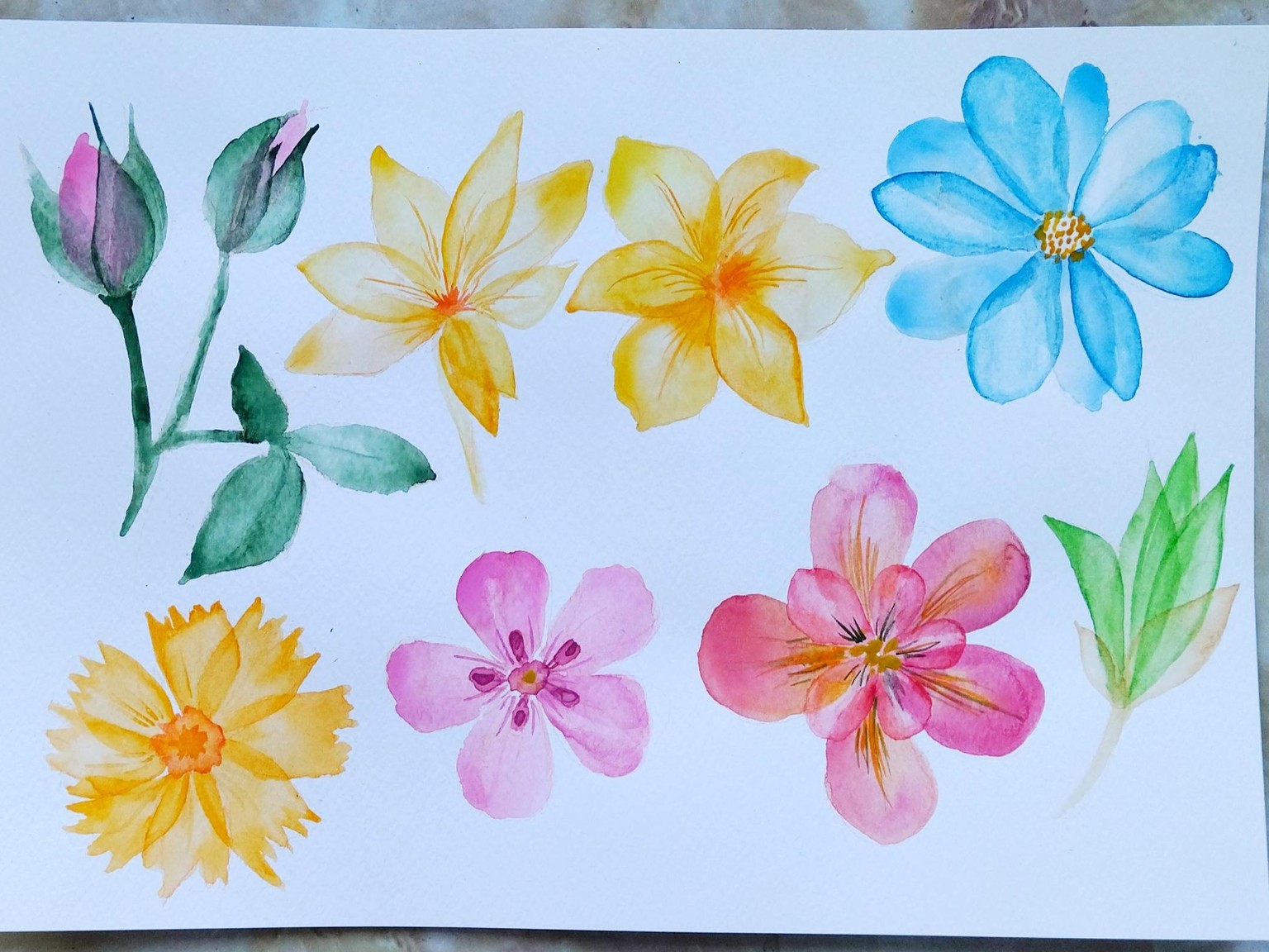 Aquaflowers - image 1 - student project