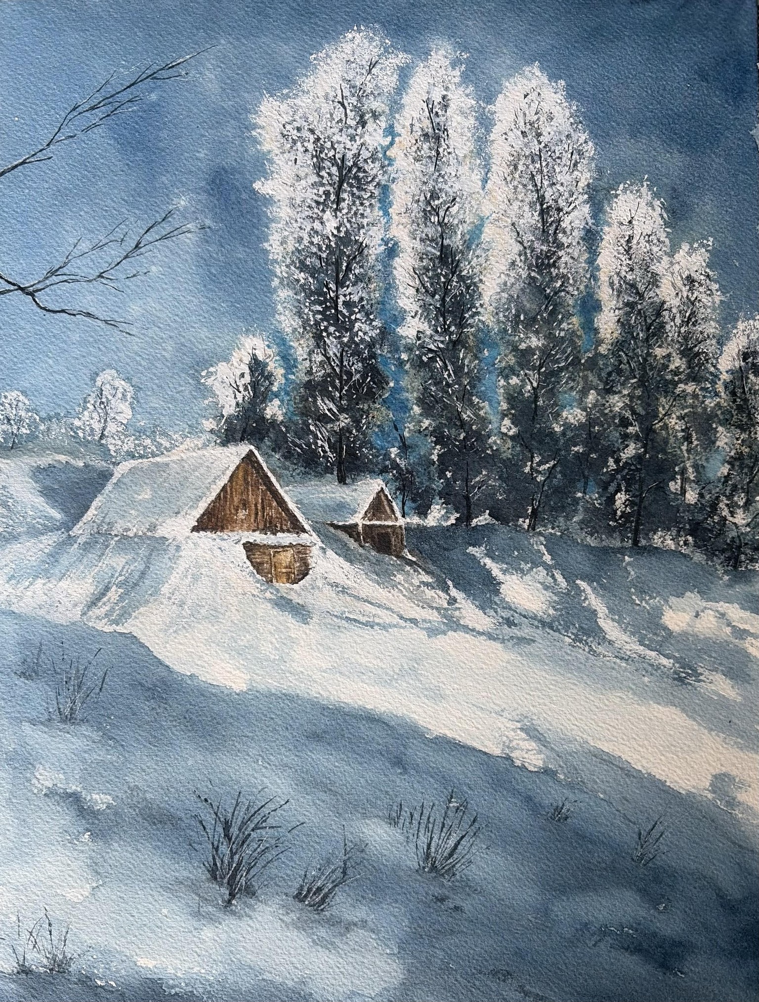 Sunlit snow covered trees project. - image 1 - student project