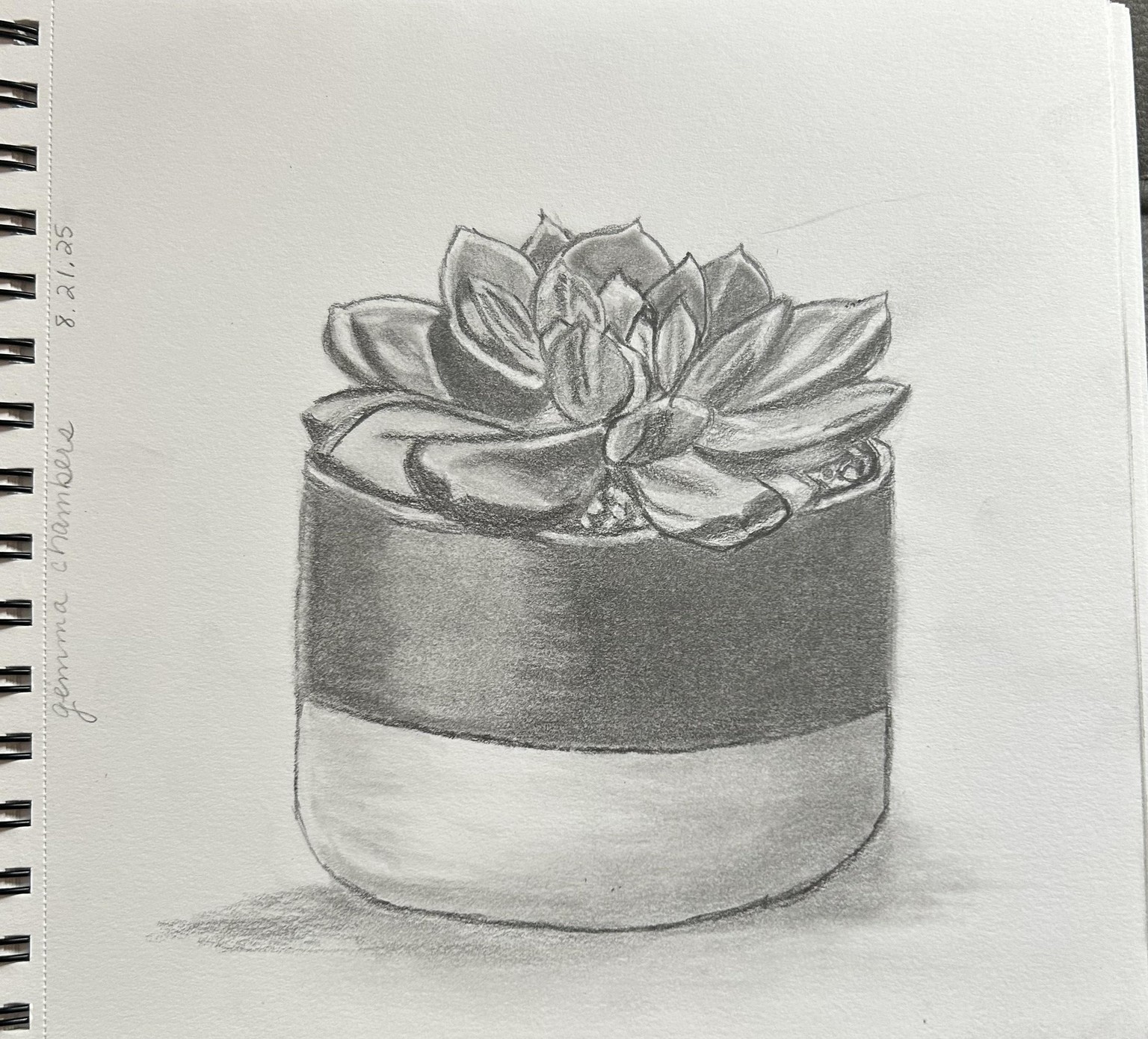Succulent - image 1 - student project