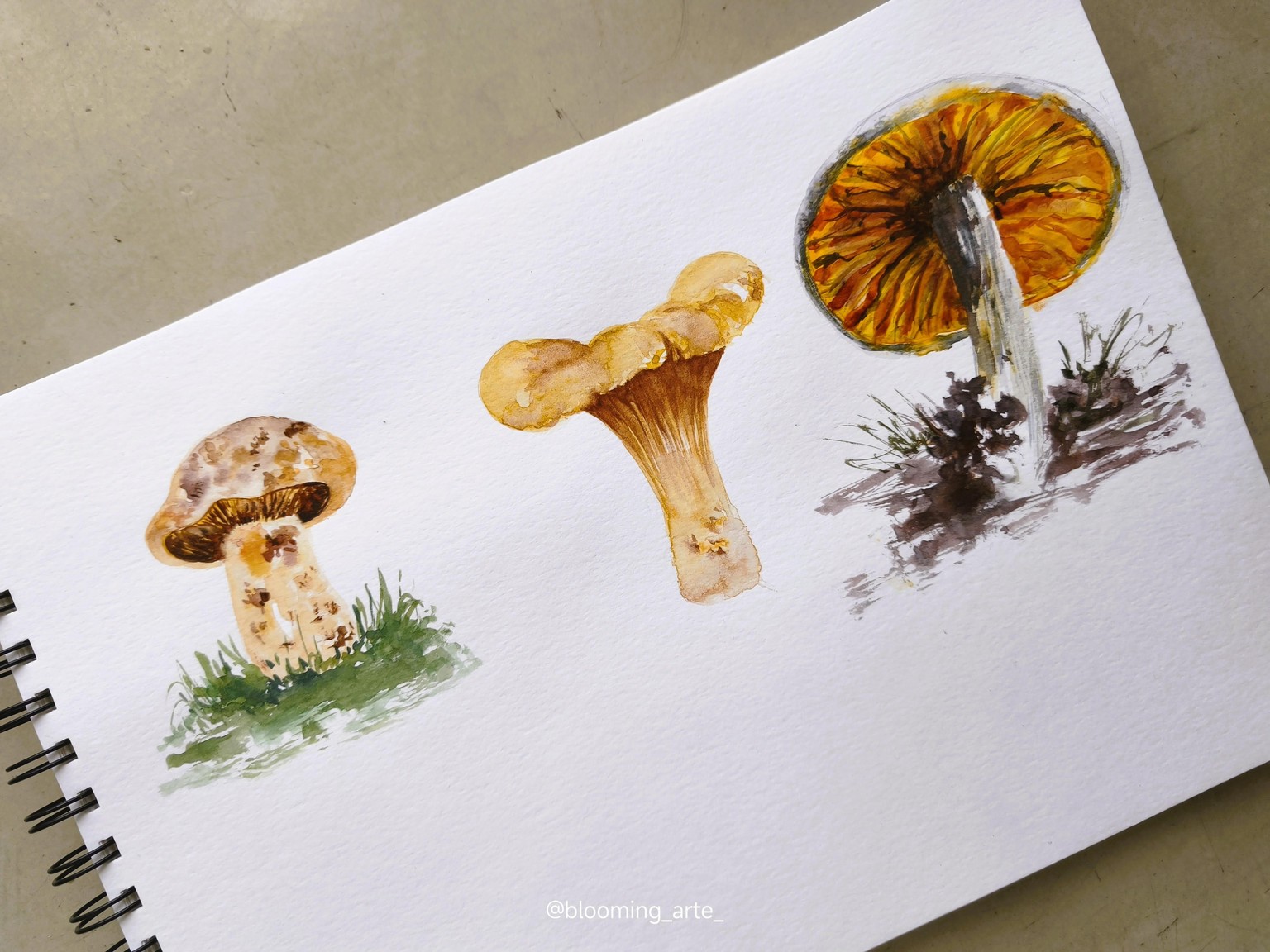 Loosen Up in Your Sketchbook - image 3 - student project
