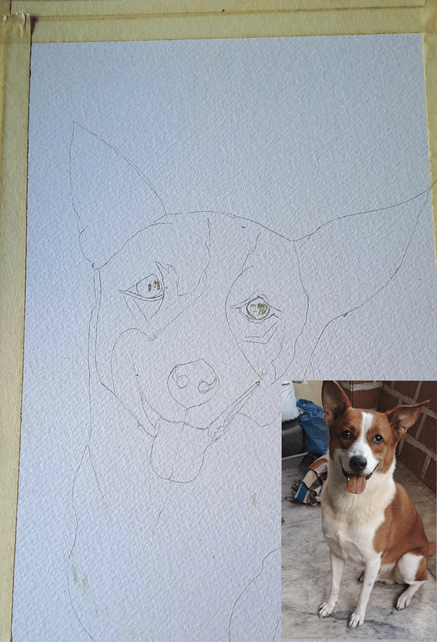 Duke - image 2 - student project