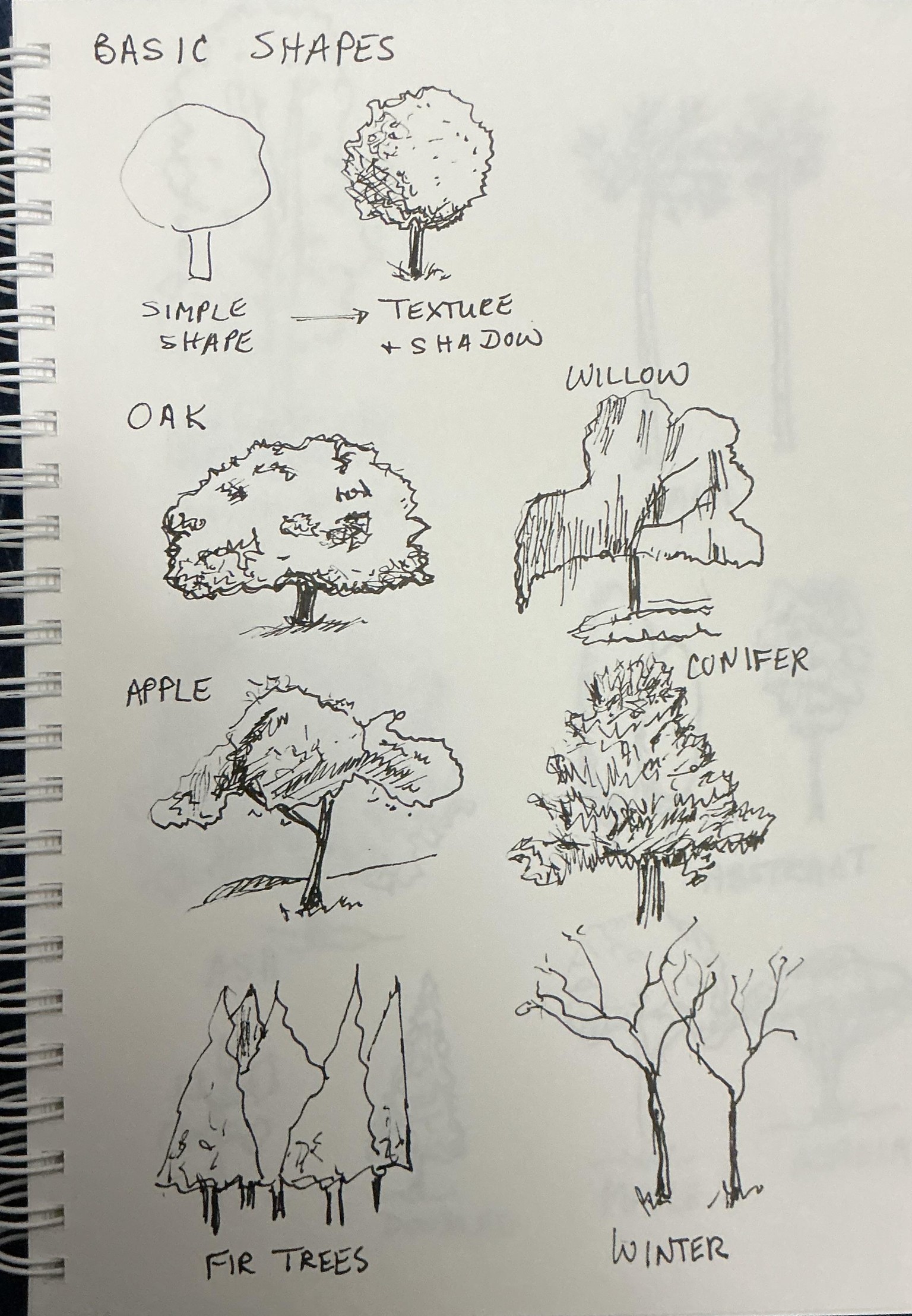 Drawing trees - image 2 - student project