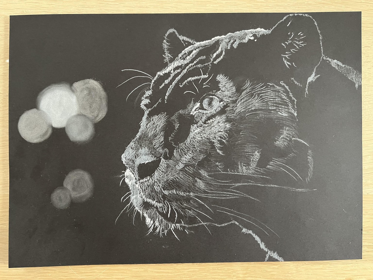 Black and White panter - image 1 - student project